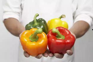 娱乐吃瓜酱燃脂,揭秘明星健身秘诀与美食诱惑